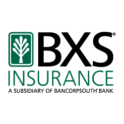 BXS Insurance Inc Photo