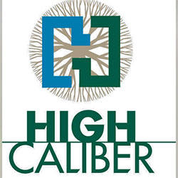 High Caliber Landscape Logo