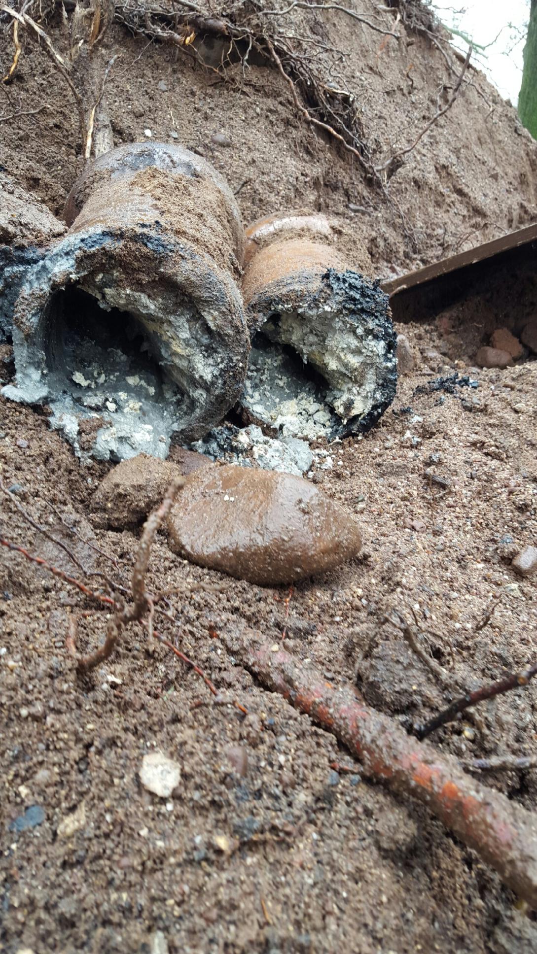 Sewer Surgeons Image