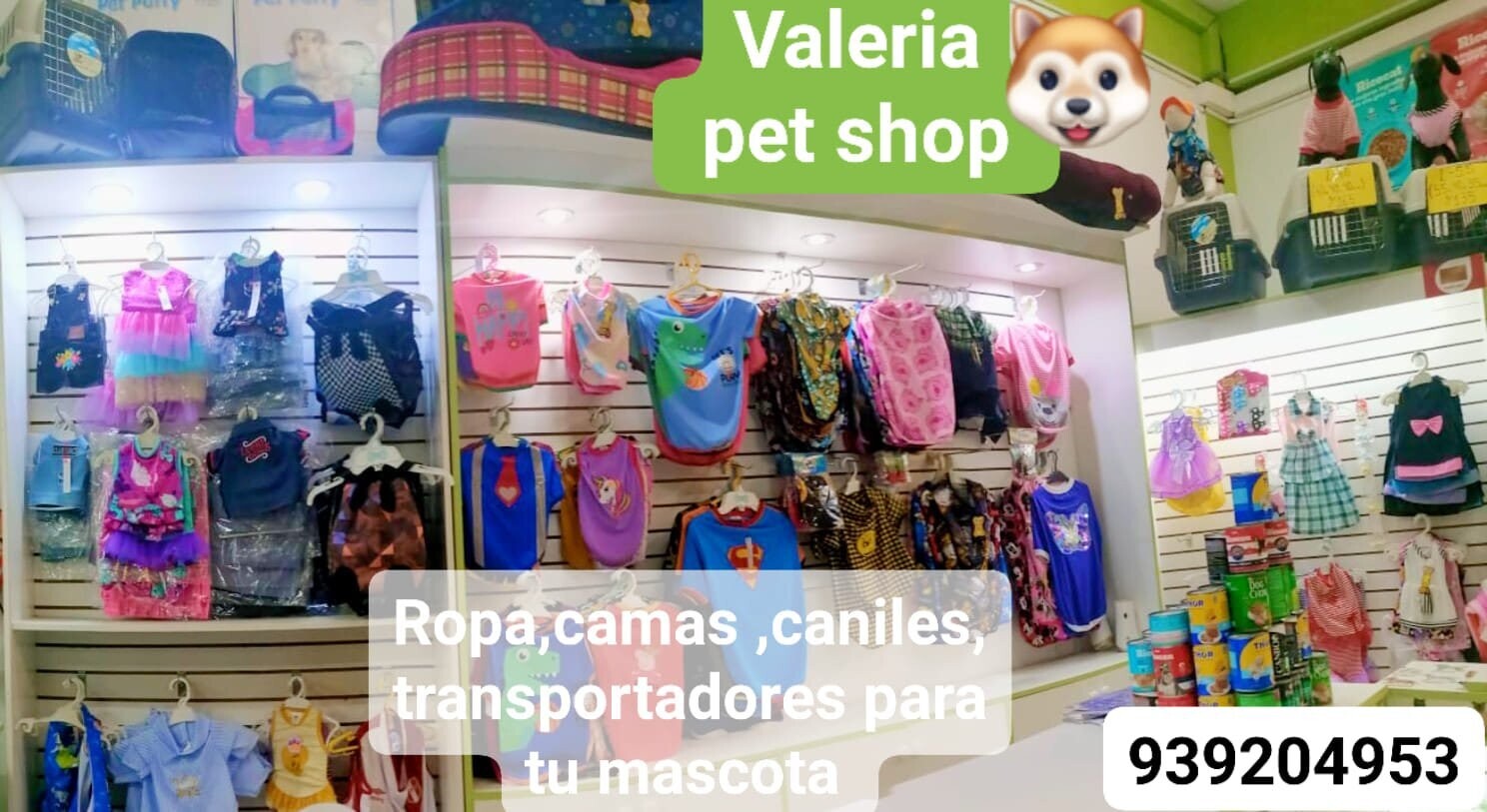 Galería en miniatura