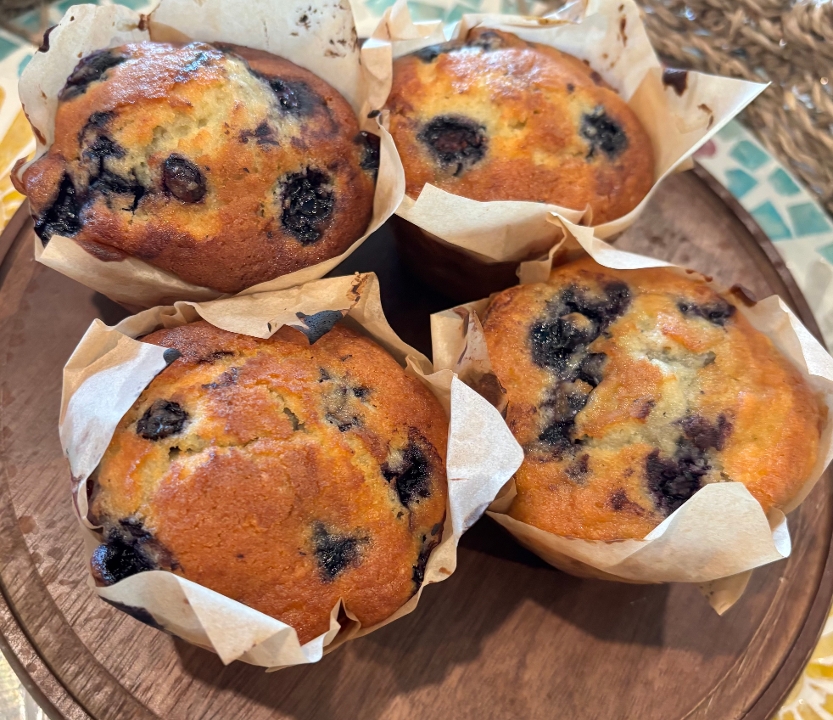 Blueberry Muffin