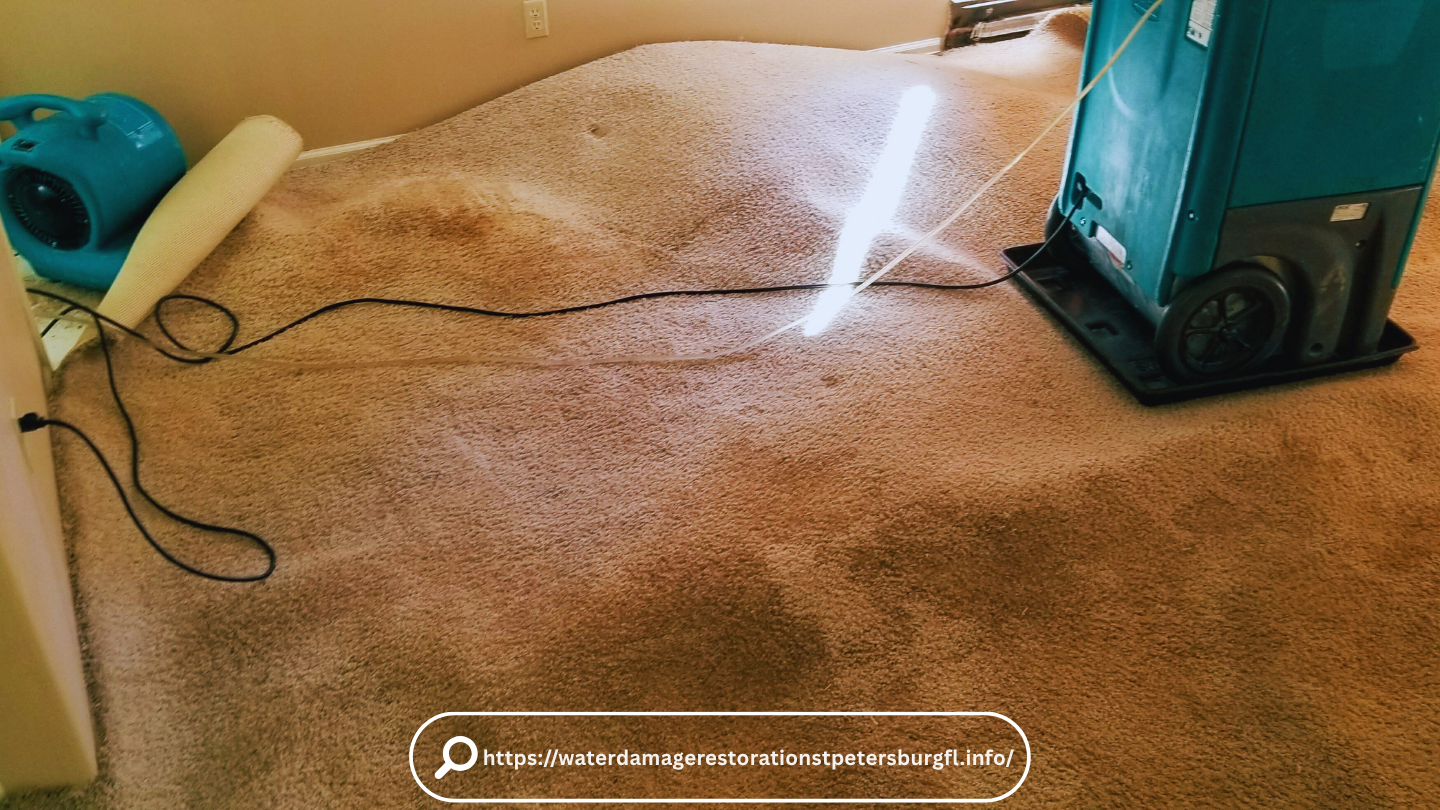 Water Damage Restoration St. Petersburg