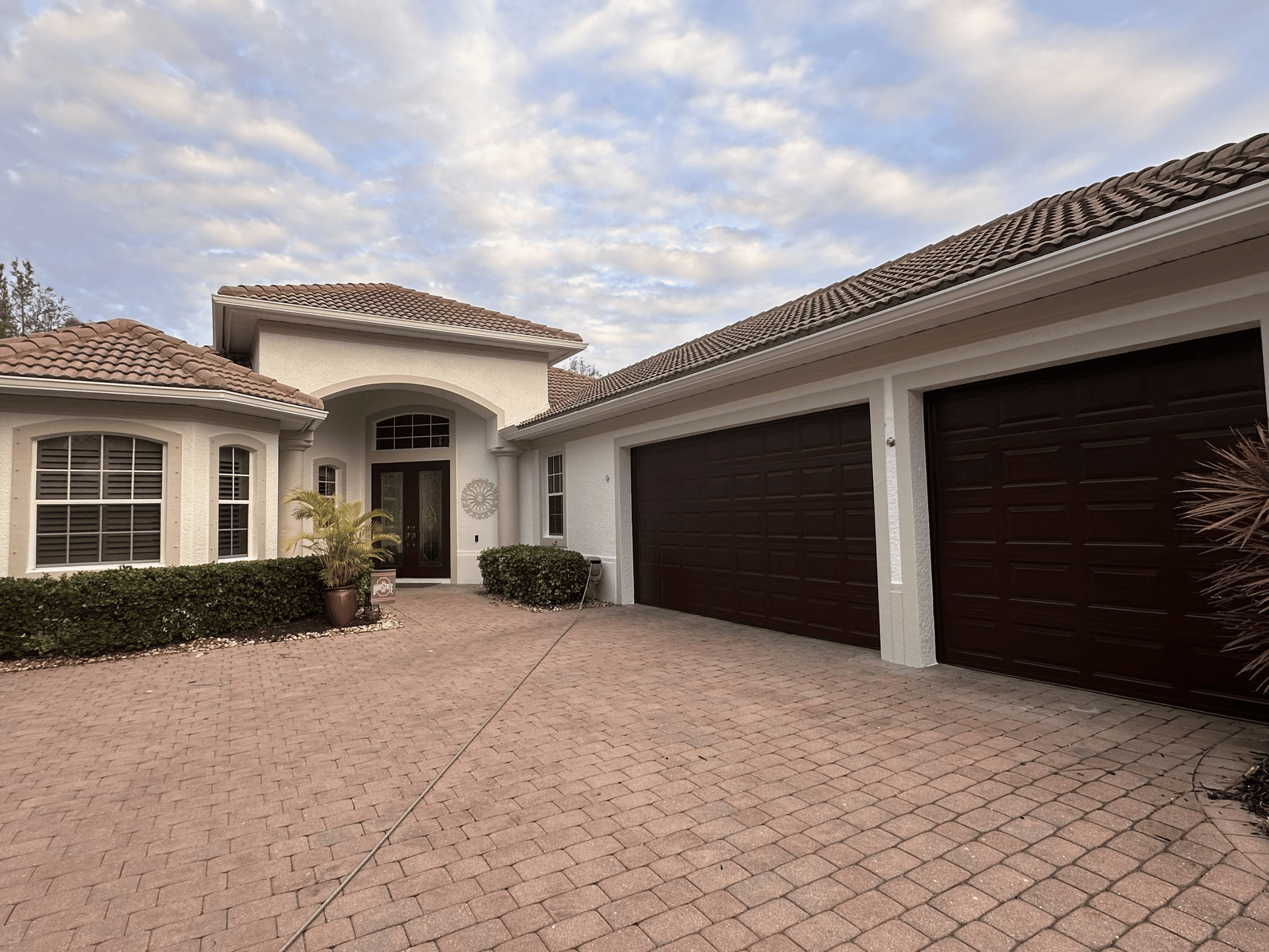 Peach Painting Image