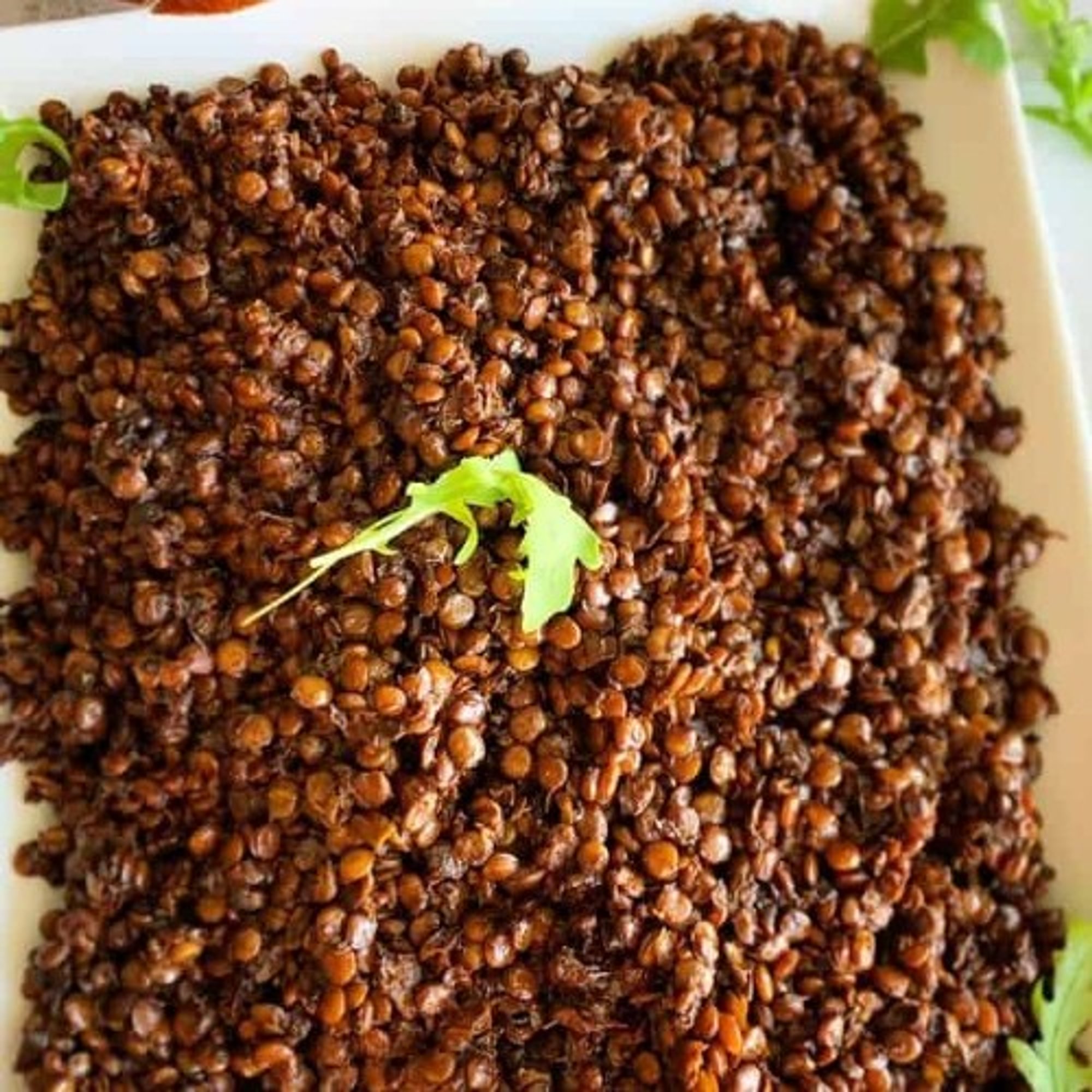 Mujadara