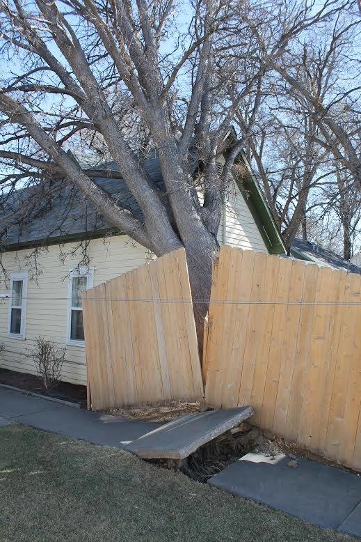 Tree Monkeys, LLC Image