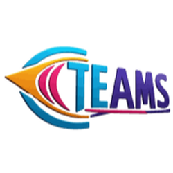 TEAMS LLC