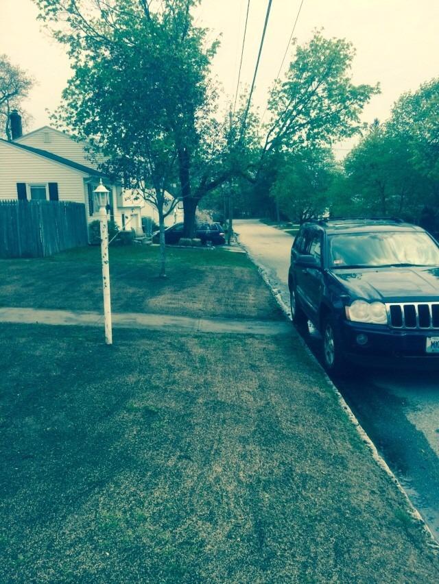 Mike's Landscaping Image