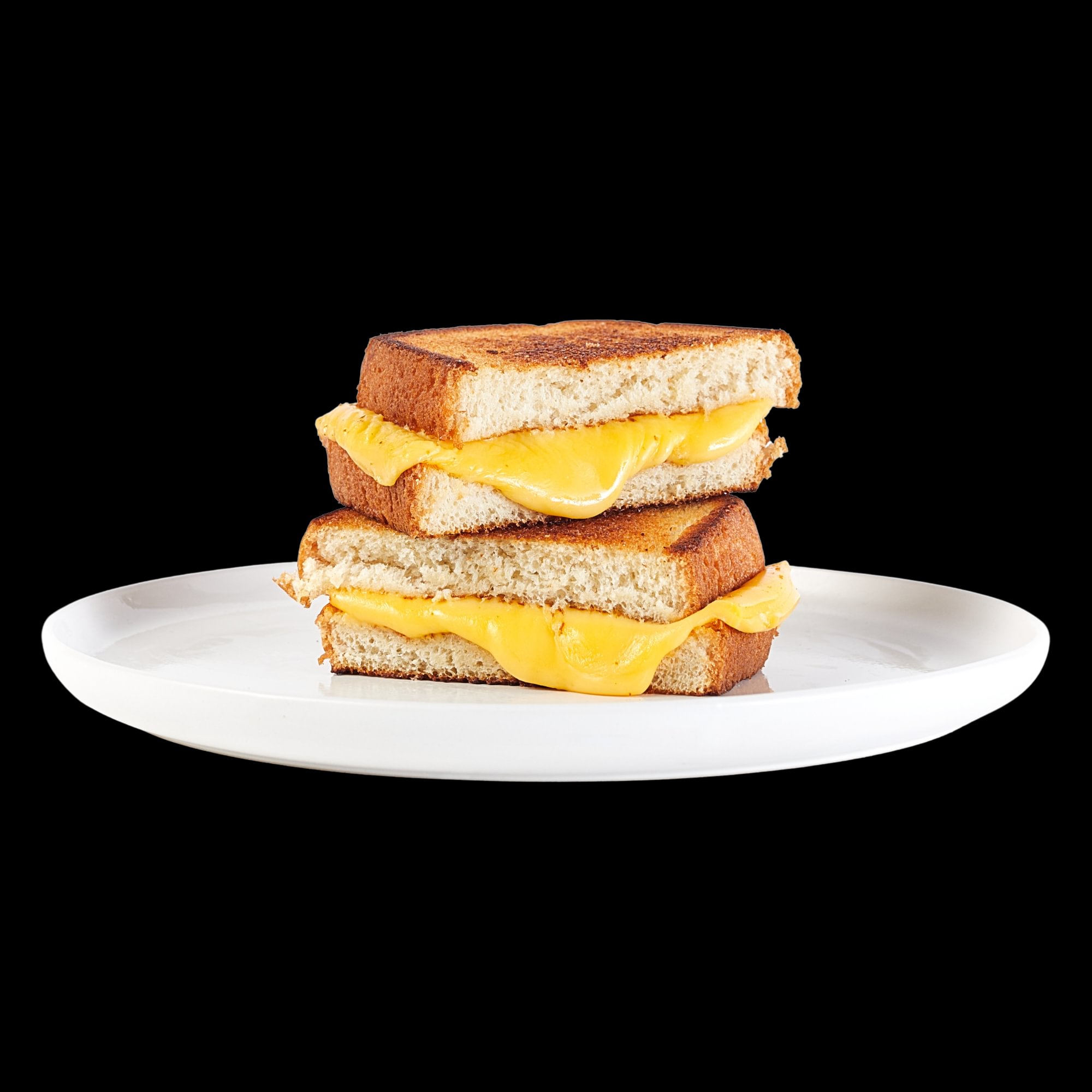 Grilled Cheese Panini
