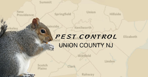 NJ Pest Control Image