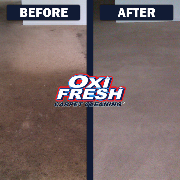 Images Oxi Fresh Carpet Cleaning