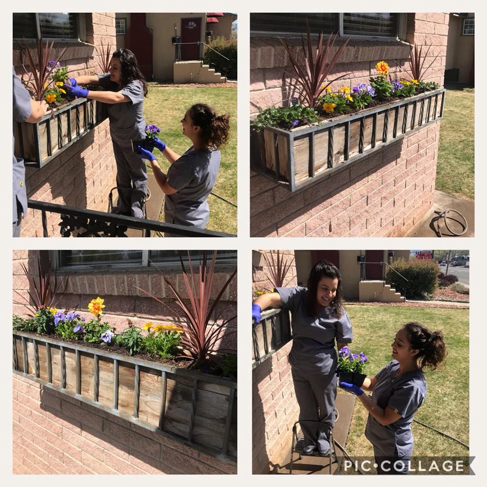 InsuraCaid Dental Image