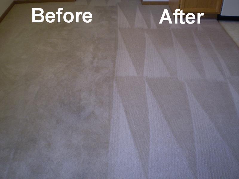 All American Carpet Cleaning Photo