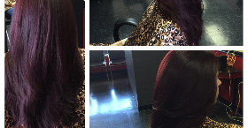 Images Michael Ashley Salon