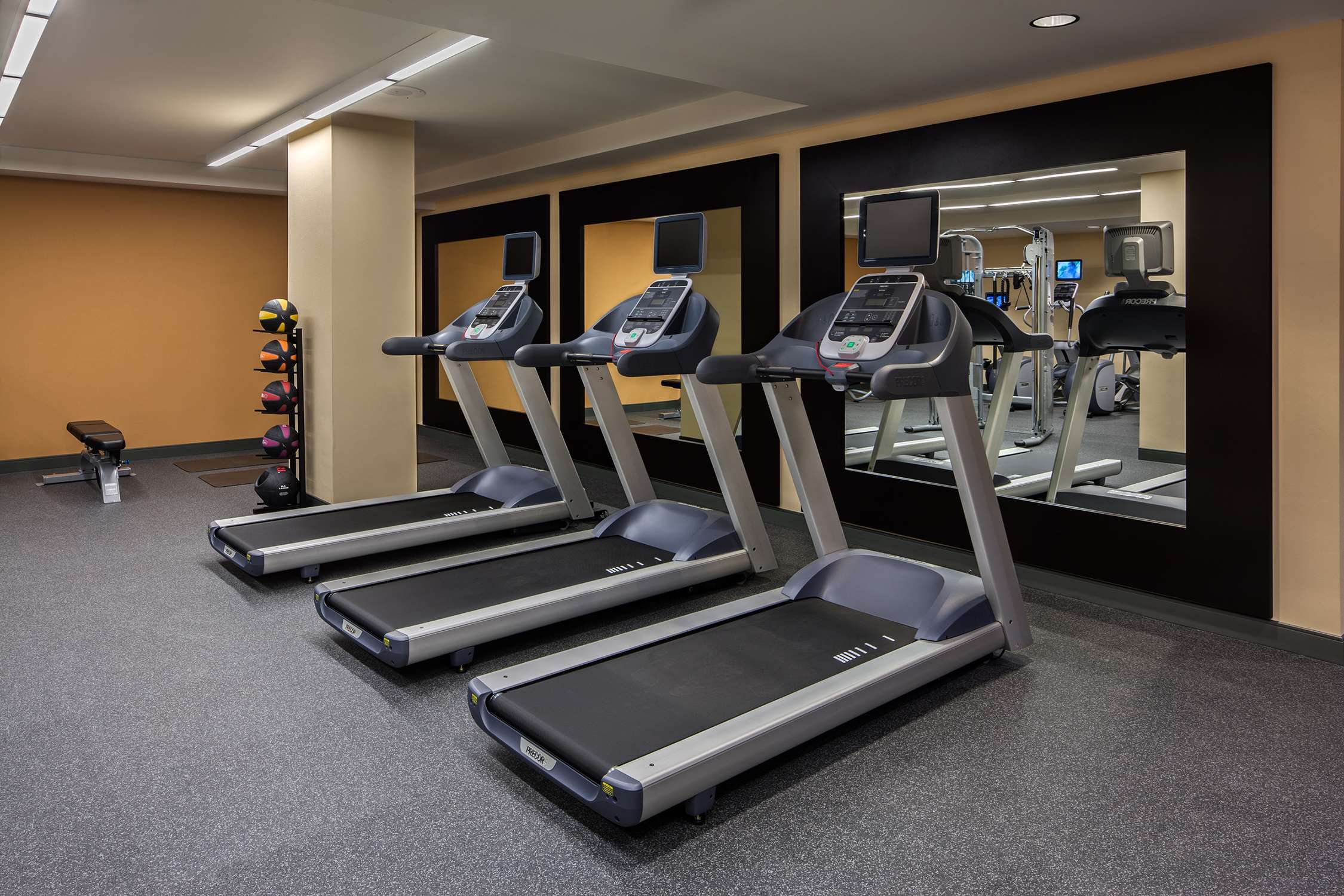 Health club  fitness center  gym