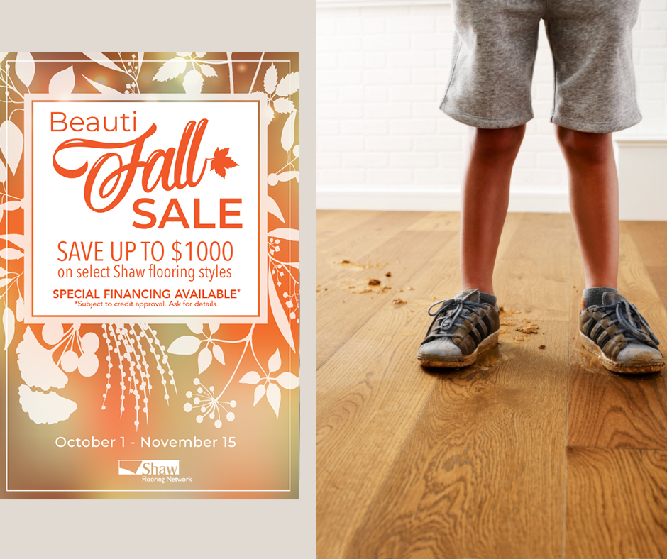 Stafford's Discount Carpet Logo