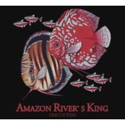 Blackwater Aquaria Logo