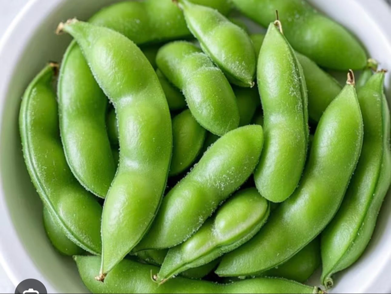 Edamame