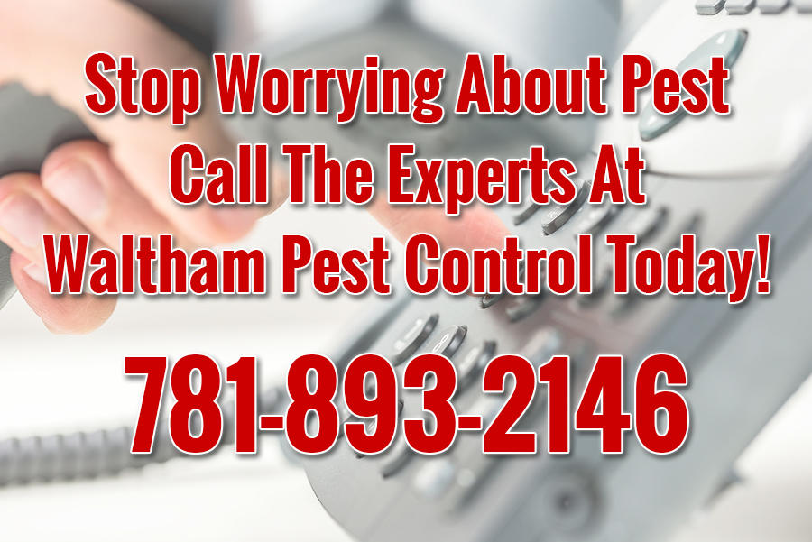 Waltham Pest Control Co., Inc. Photo