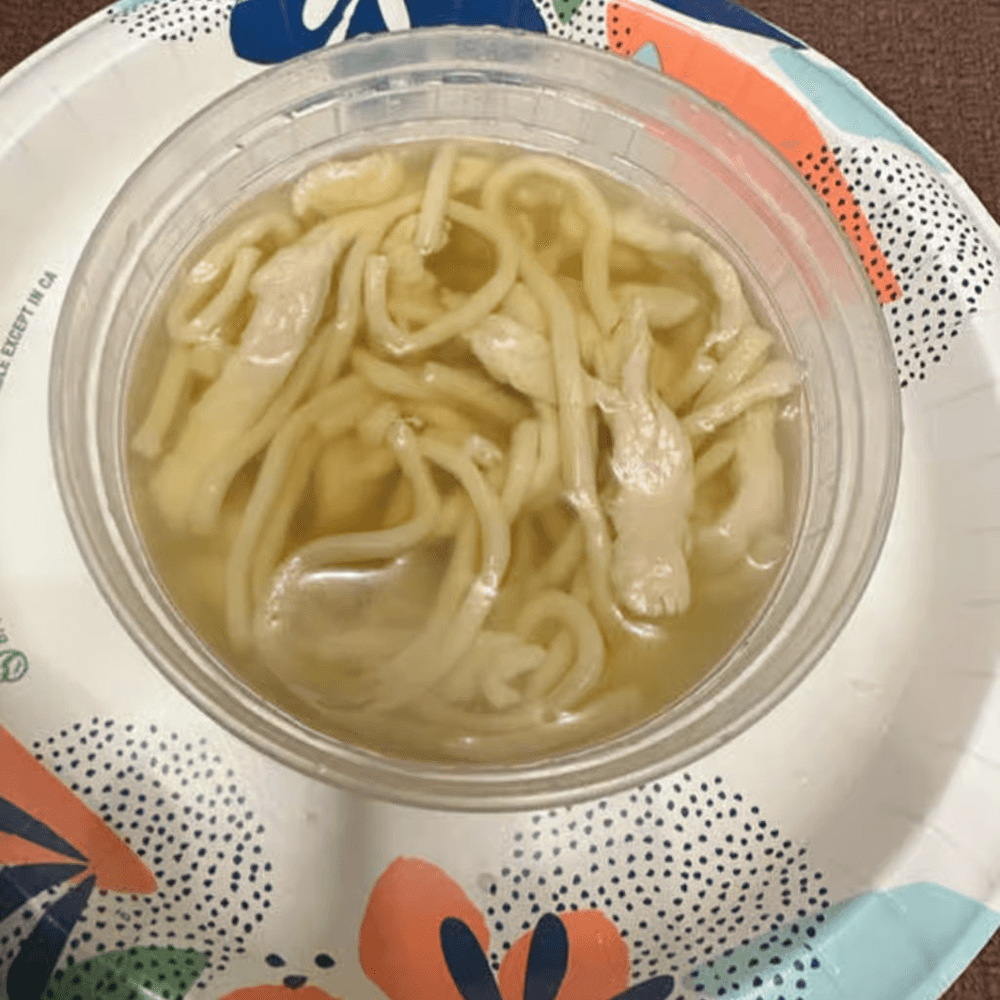 Chicken Noodle Soup