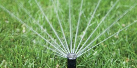 3 Sprinkler System Maintenance Tips From Cincinnati's Lawn Care Experts