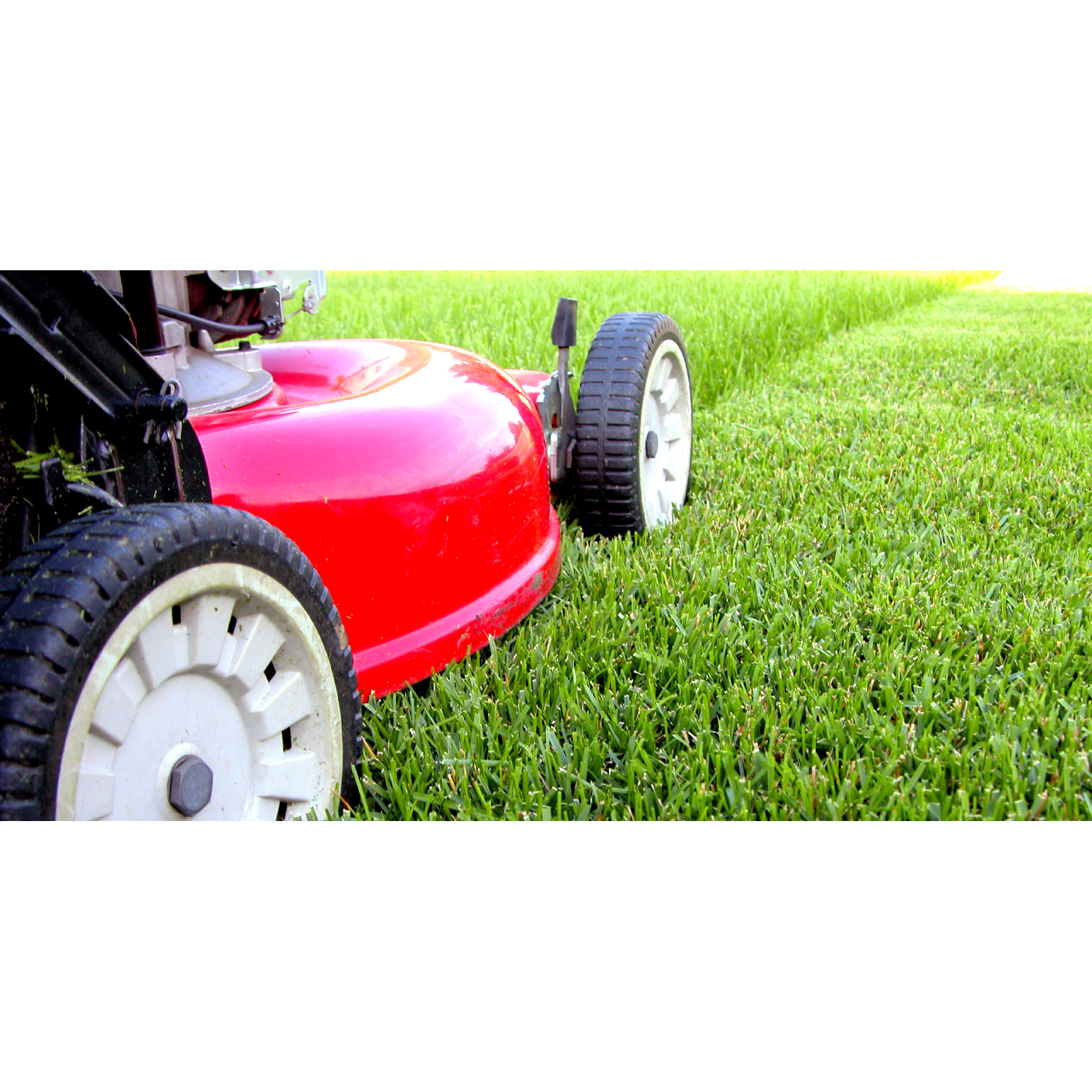 Deans Lawn Care &amp; Property Logo