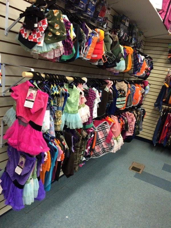 zoobeck s pets and supplies coupons near me in rock zoobeck s pets and supplies coupons near me in rock