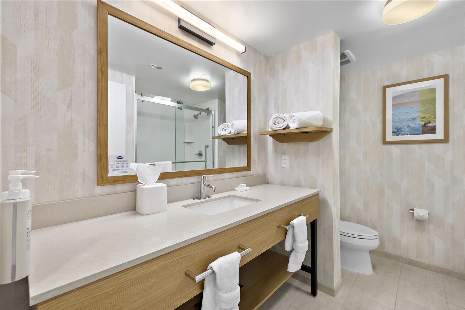 Hampton Inn & Suites Lancaster Image