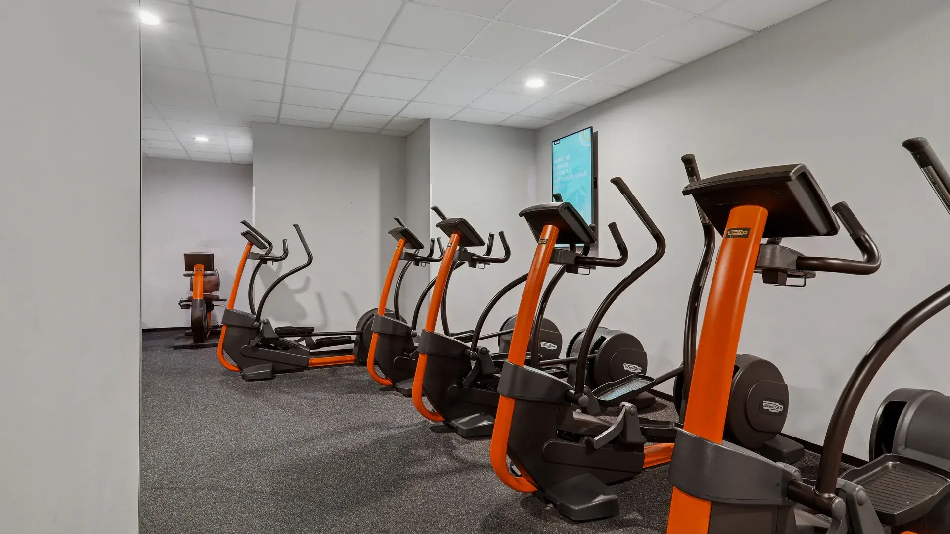 Miniature de la galerie