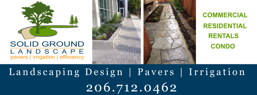 Solid Ground Landscape Image