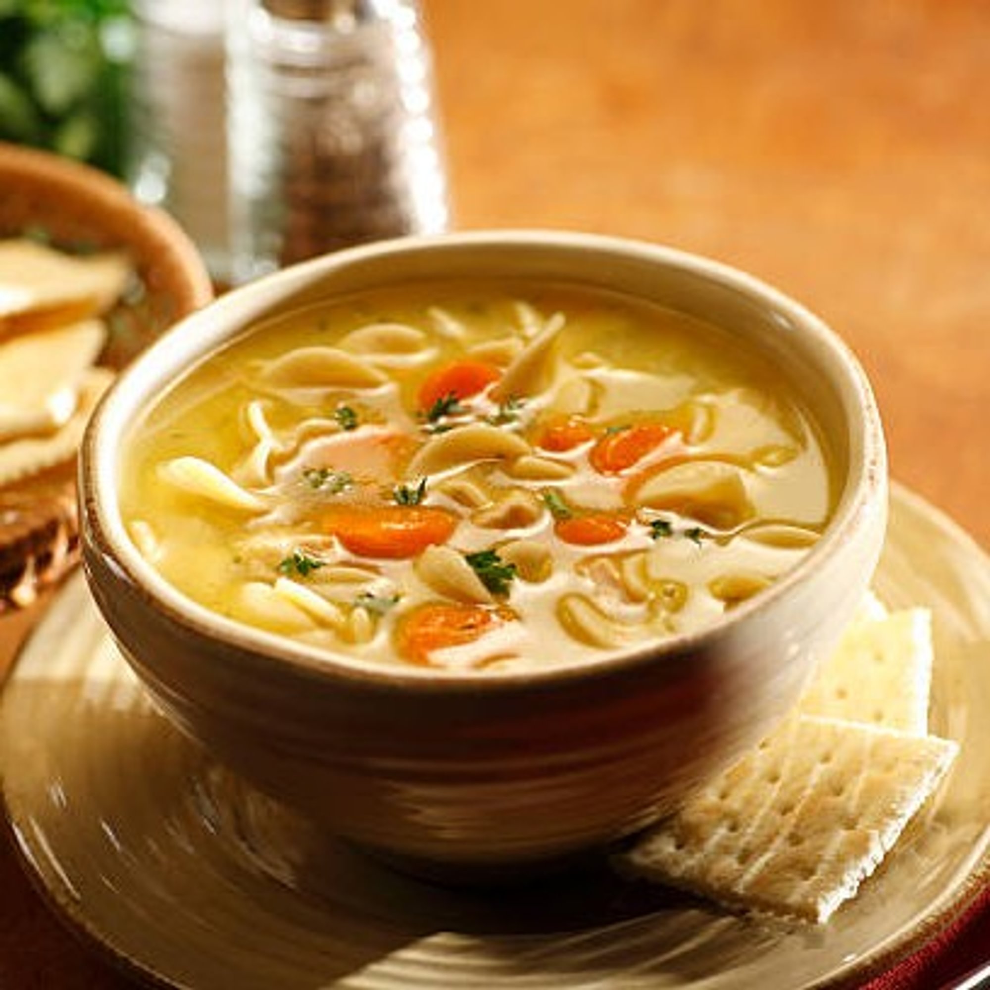 Chicken Noodle Soup