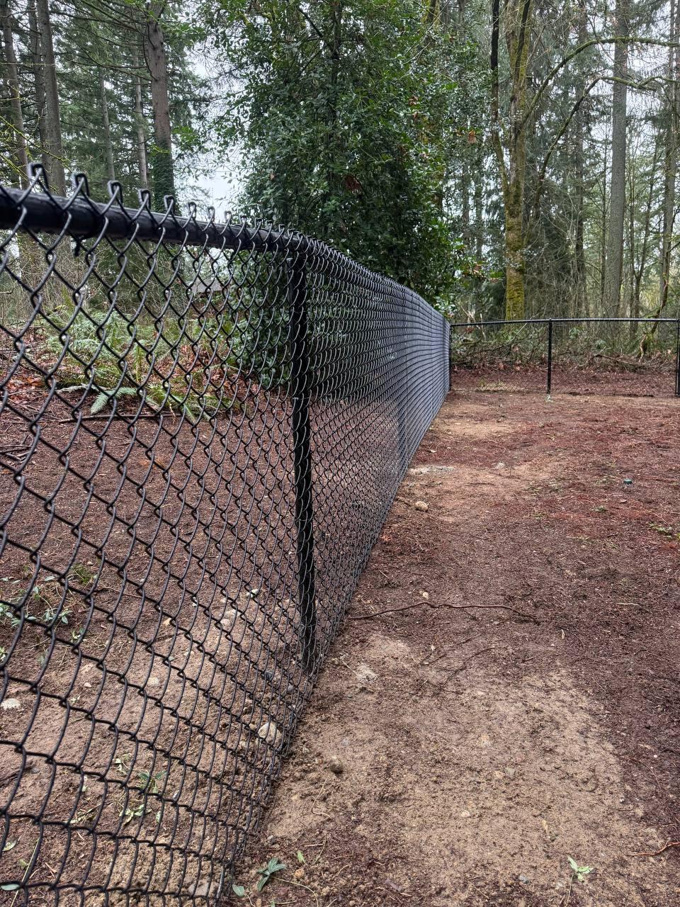 Tidy Beaver Fencing - Fence and Gate Contractor Image