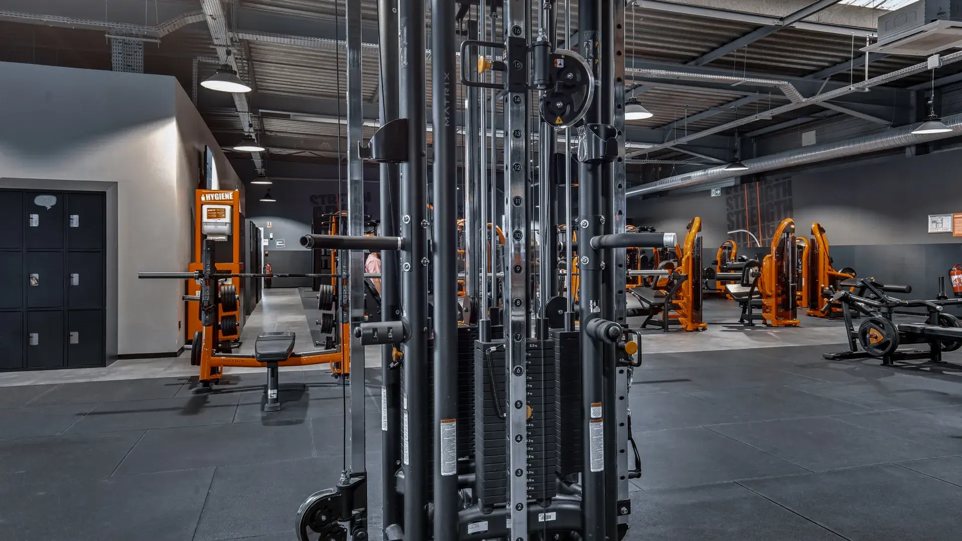 Miniature de la galerie