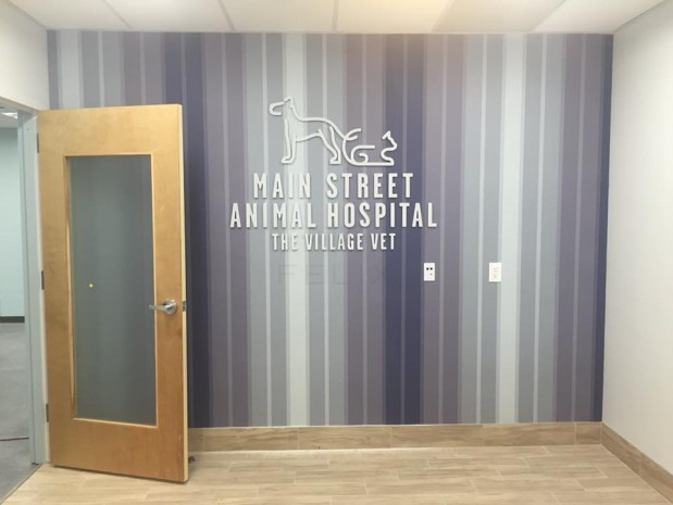 Main Street Animal Hospital