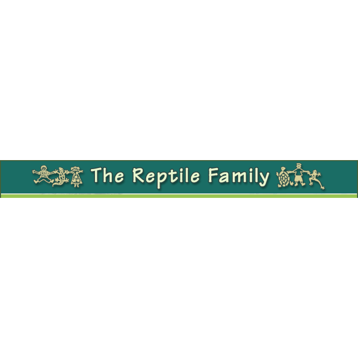 Reptile Family Logo
