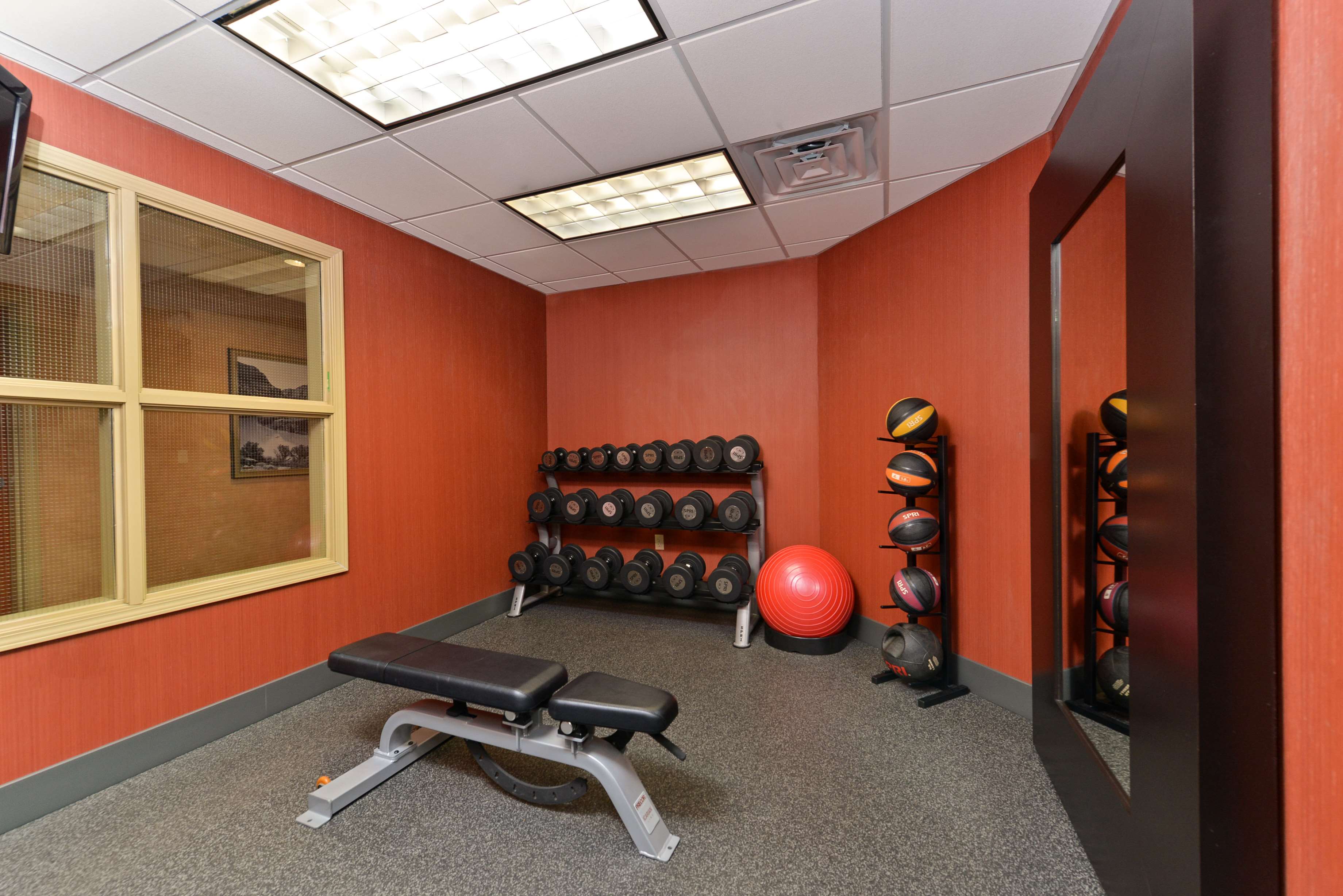 Health club  fitness center  gym