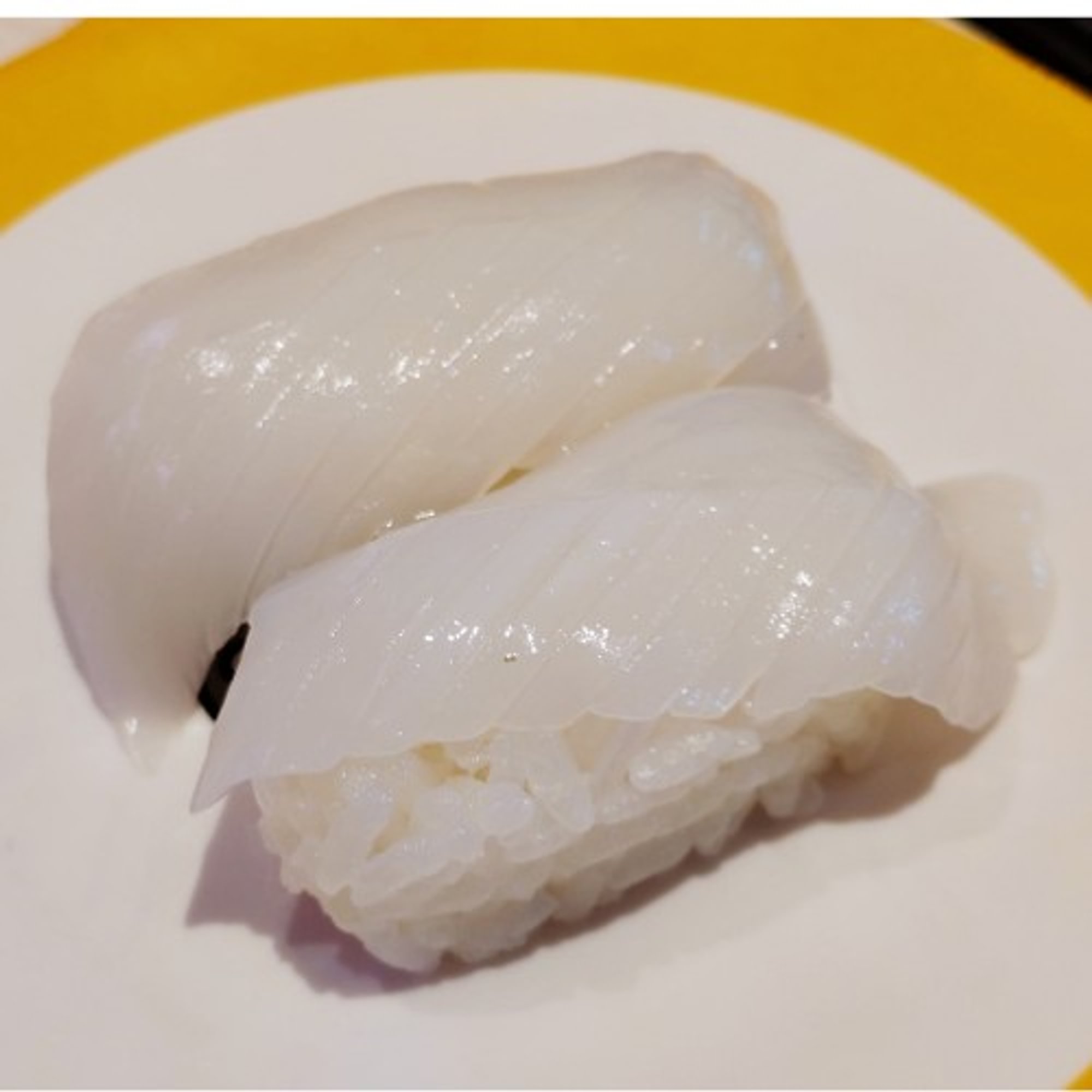 Squid