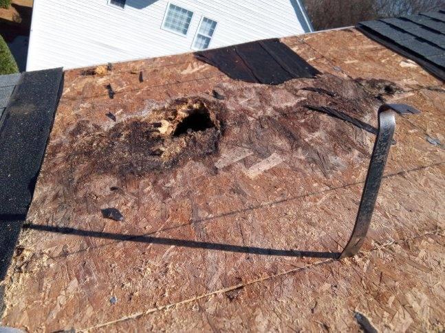 EcoShield Roofing Image