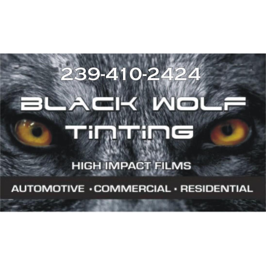 Black Wolf Tinting Photo