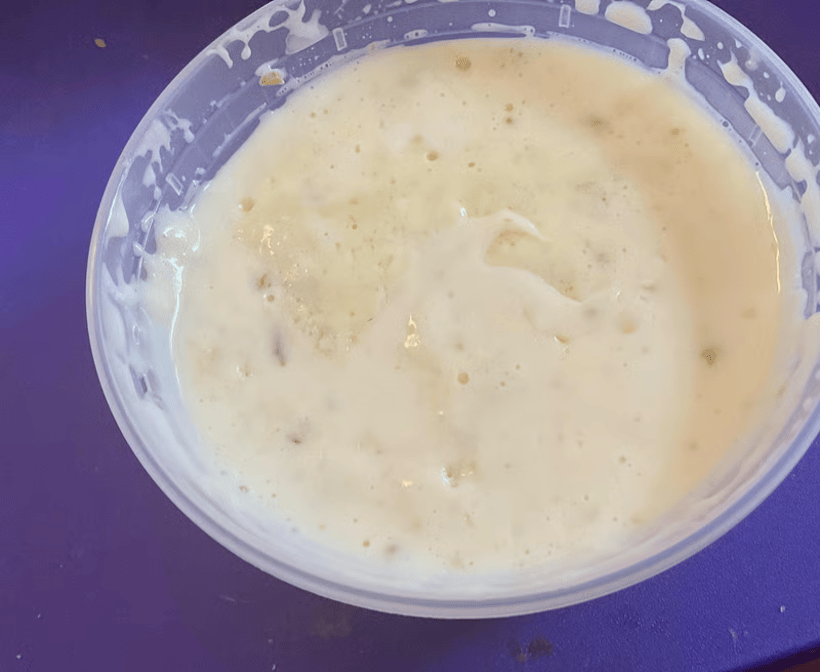 A5 Queso