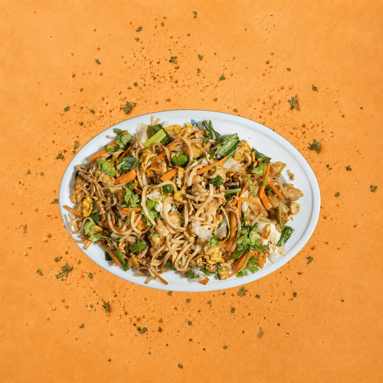 Chicken Noodles