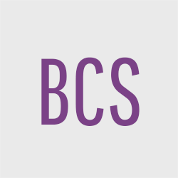 Bella Contracting Services Logo