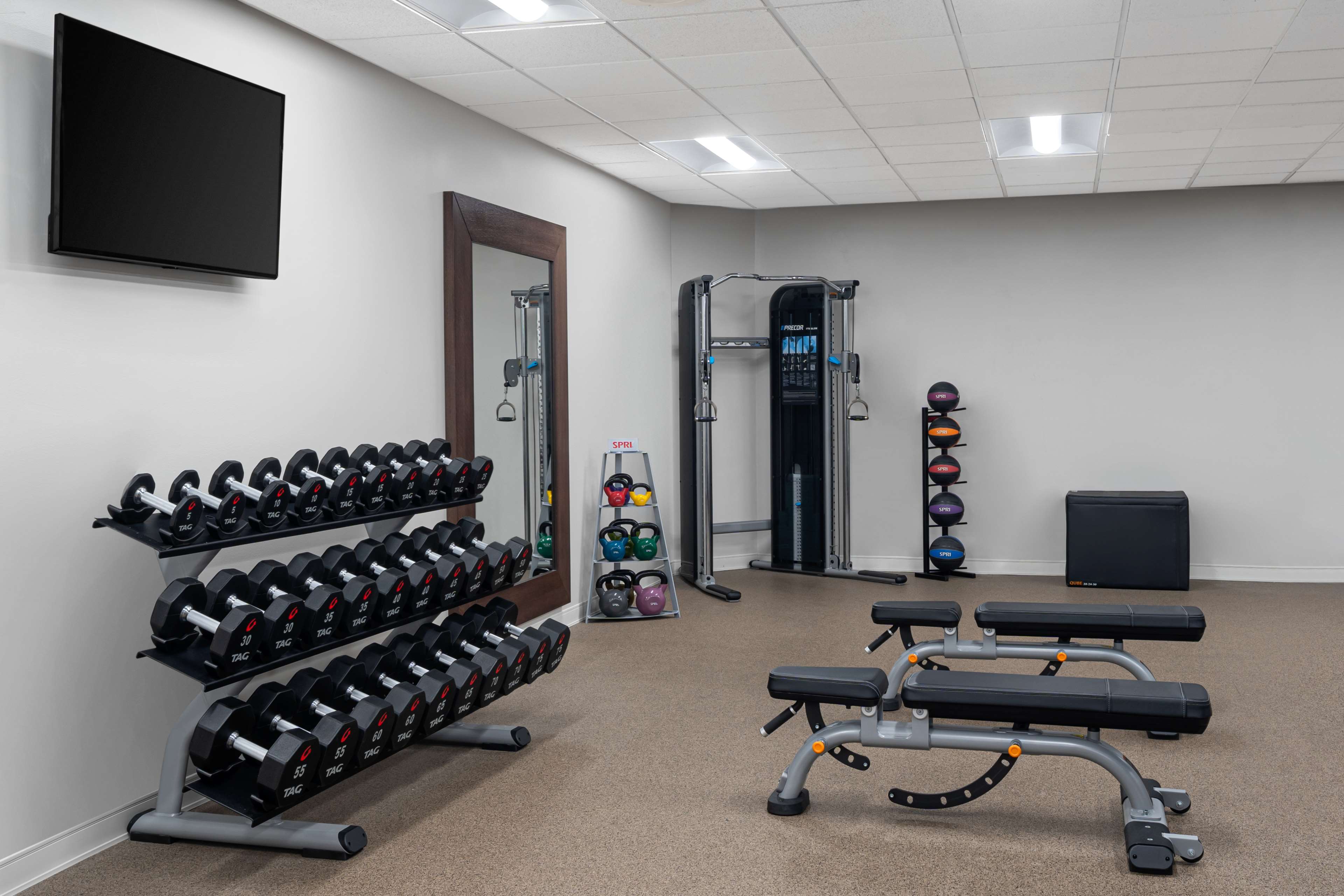 Health club  fitness center  gym