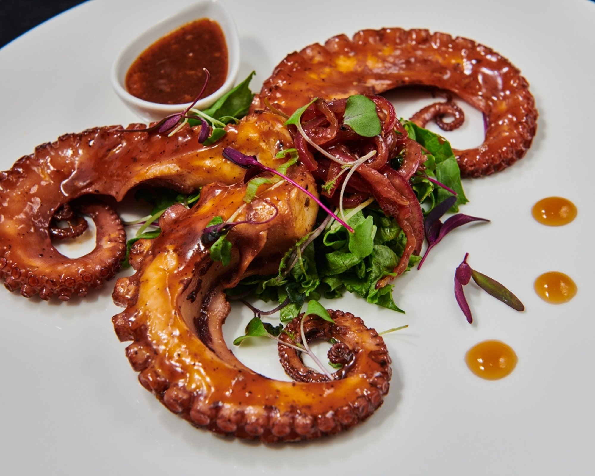 Pulpo Cucaracha
