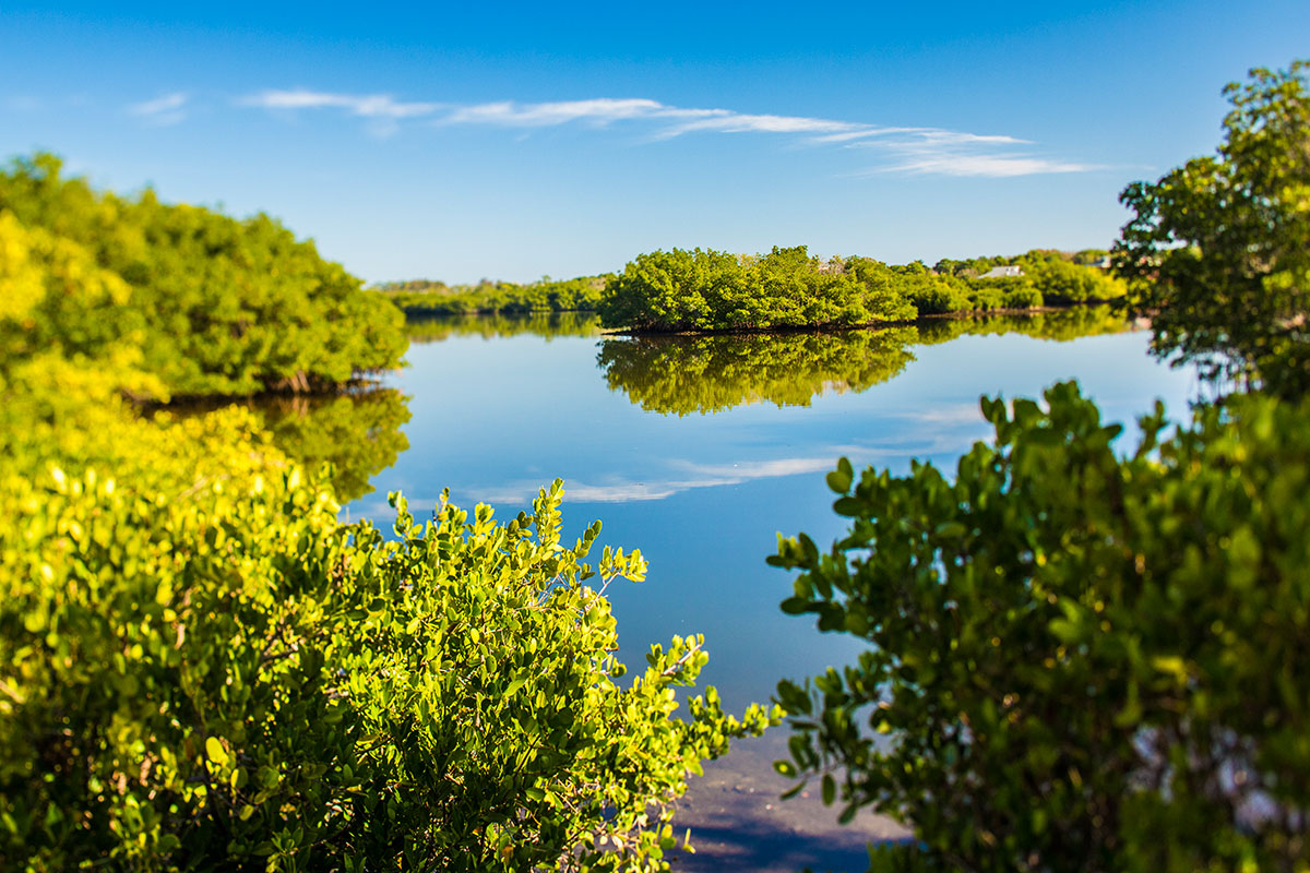 St. Petersburg / Madeira Beach KOA Holiday Photo