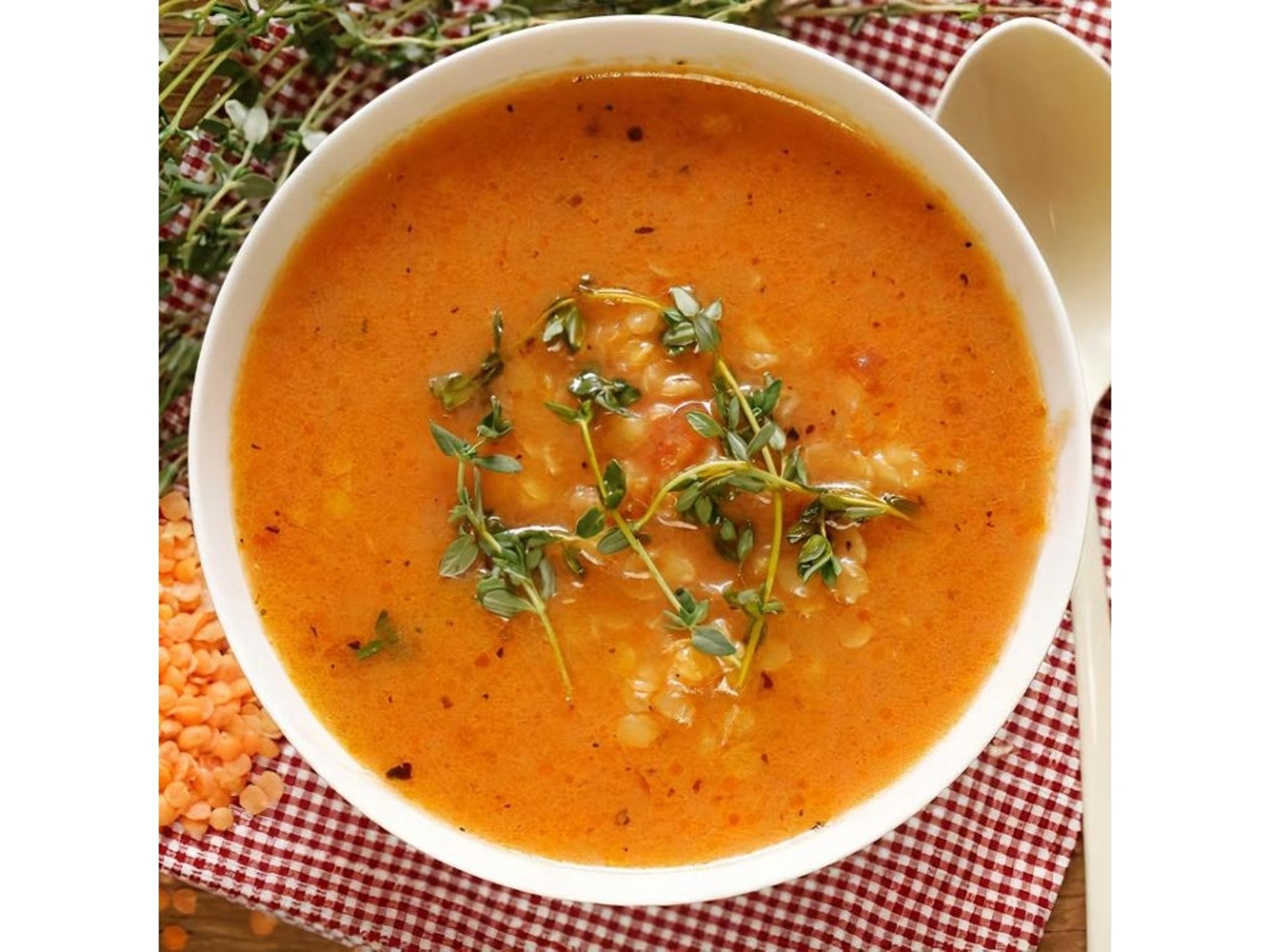 Soup of the Day