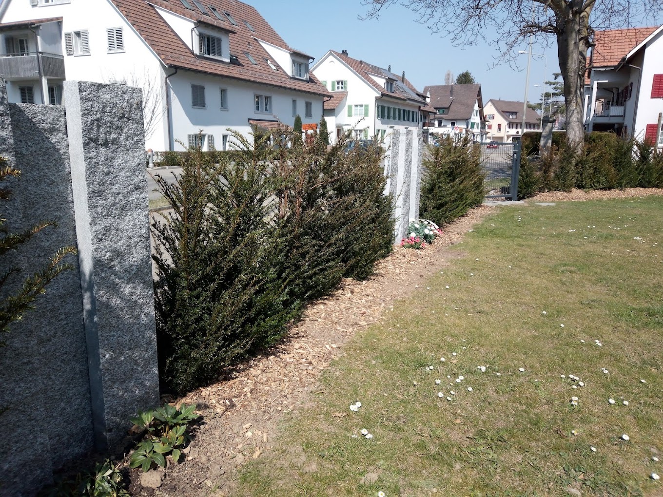 Galerie-Thumbnail