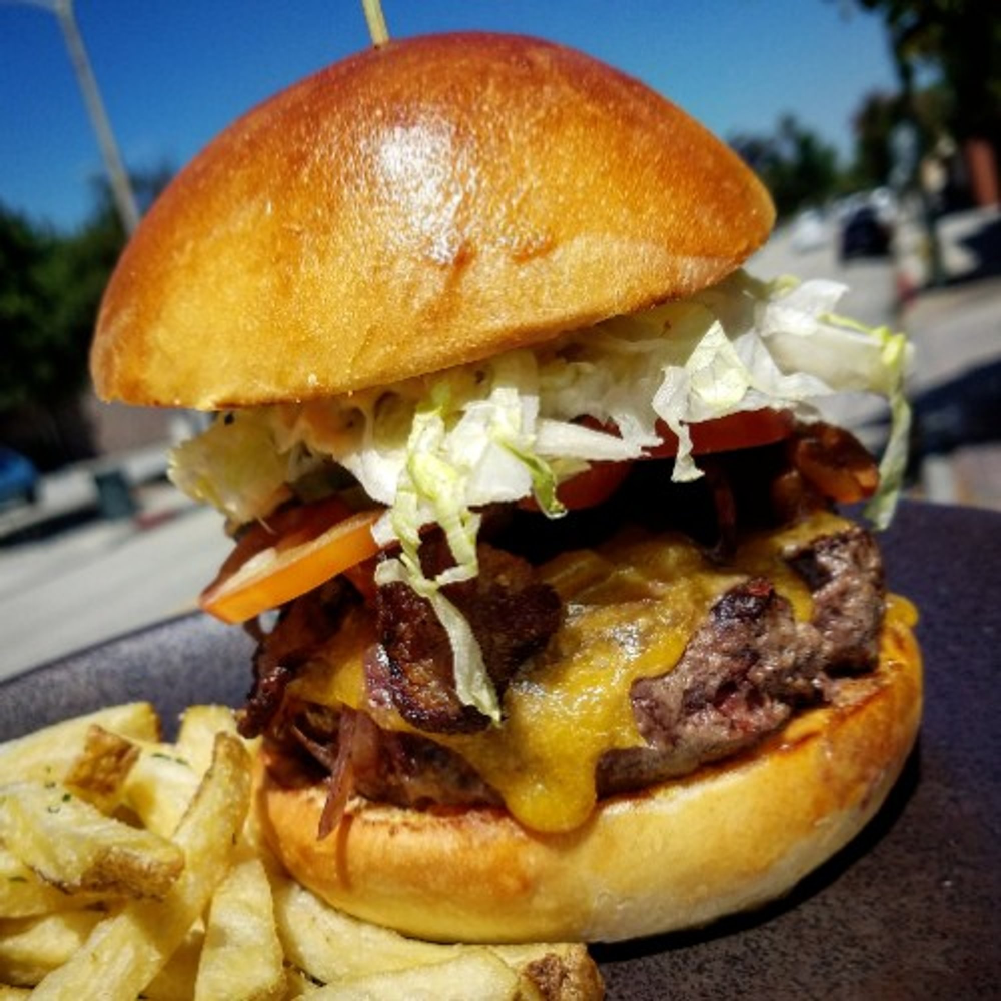 Backyard Burger