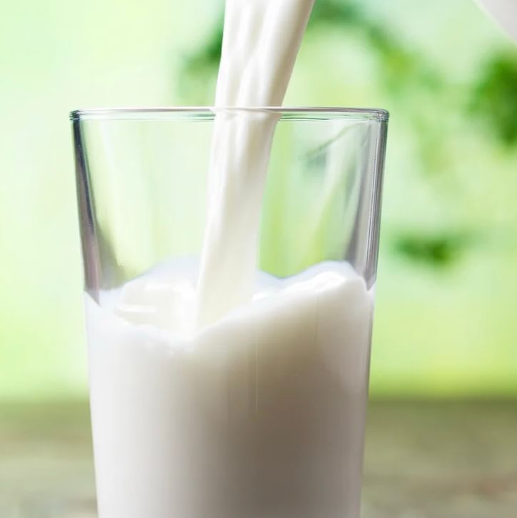 Milk