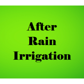 After Rain Irrigation Logo
