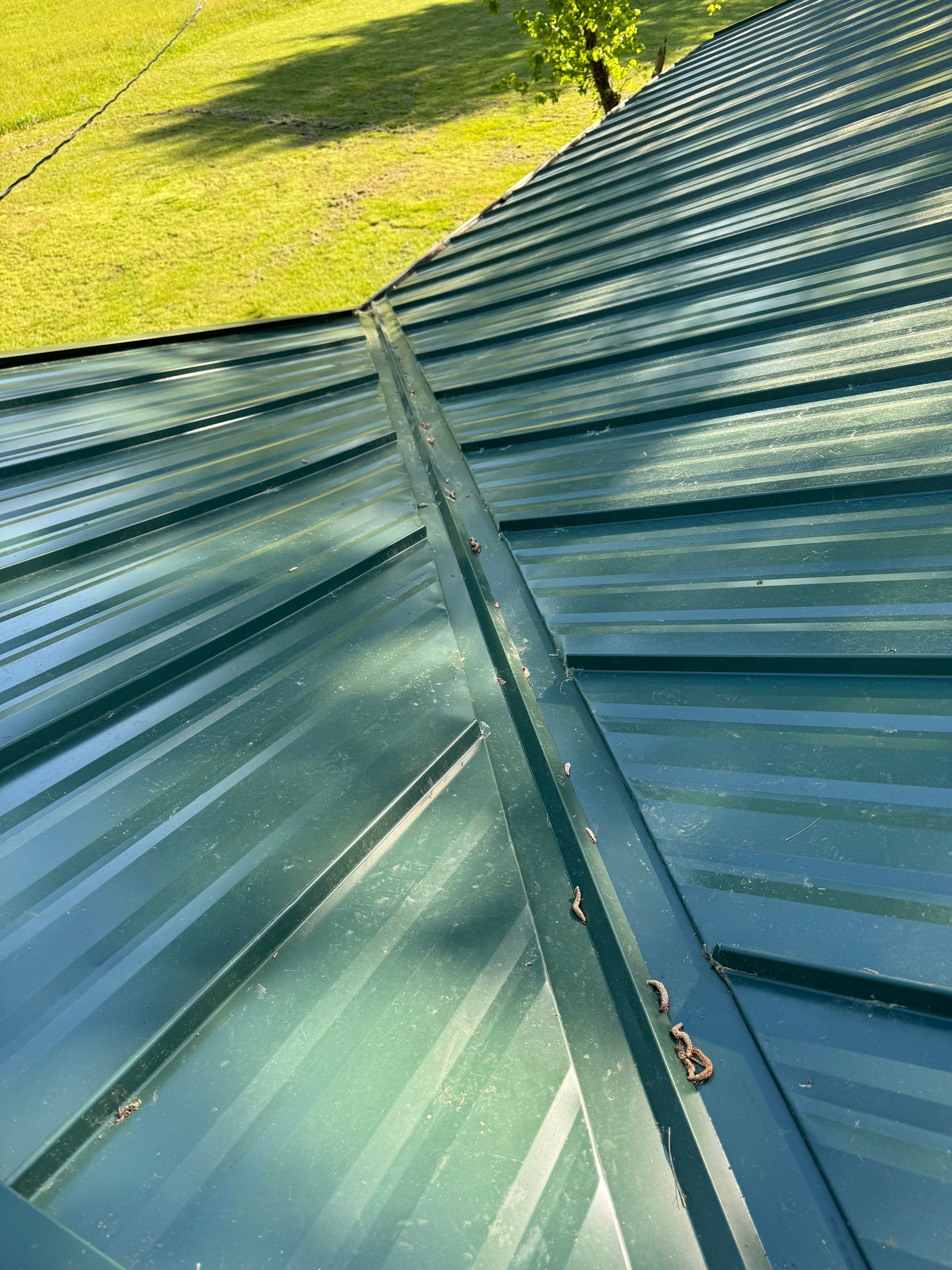 Radiant Home Services Image